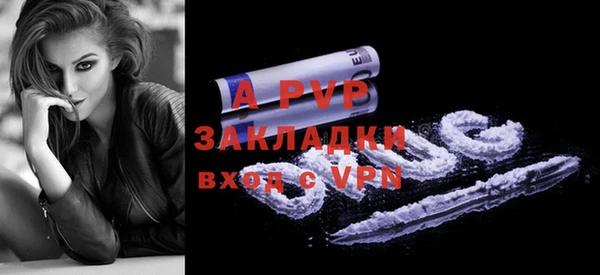 хмурый Абаза