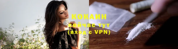 хмурый Абаза