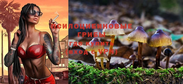 дурь Абдулино