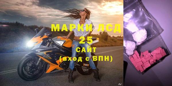 хмурый Абаза